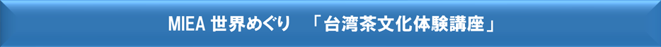 MIEA�����ᤰ�� ��������ʸ���θ��ֺ¡�