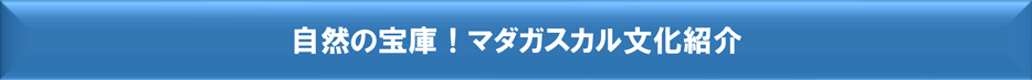 ���������ˡ��ޥ���������ʸ���Ҳ�
