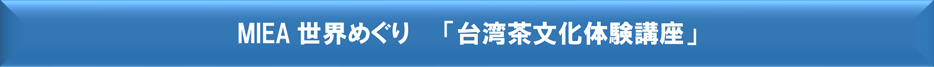 MIEA�����ᤰ�� ��������ʸ���θ��ֺ¡�